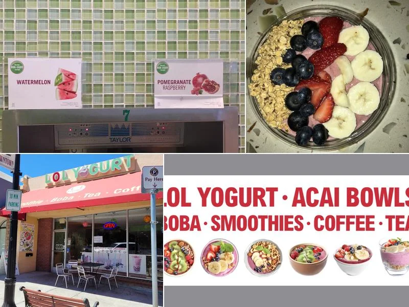 LOL Yogurt business photo