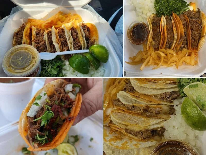 One Of A Kind Mexican Restaurant business photo
