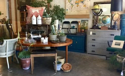 Revamped The Collection business photo